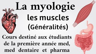 Généralités sur les muscles anatomie 1ère medecine chirdent et pharma [upl. by Weston]