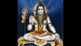 Episode 55 261  SMS  Shiva Meditation Sadhana  Guided Meditation  Dakshinamurty Dhyana [upl. by Norrat]