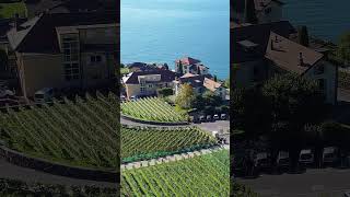 Lavaux Vineyard Terraces in Switzerland [upl. by Chally102]