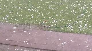 Pietermaritzburg hail Storm New Years eve 2024 [upl. by Slifka]