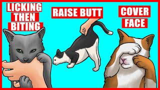 Real Meanings Behind 9 Strange Cat Behaviors Explained [upl. by Onifur]