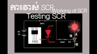 Testing ThyristorSCR measure And Working of ThyristorSCRការវាស់ SCR និងការធ្វើការរបស់ SCR [upl. by Rask]