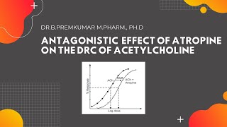 Antagonistic effect of Atropine on the DRC of Acetylcholine  Part1 [upl. by Aivun]