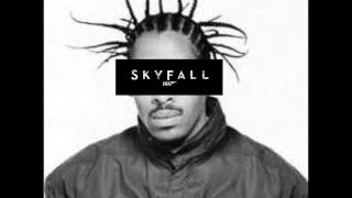 Coolio  Gangstas Paradise vs Adele  Skyfall mashup [upl. by Aicilic]