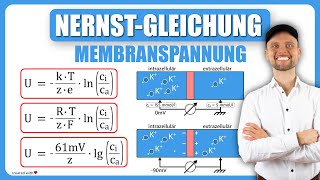 NernstGleichung Physiologie  Membranspannung  Physikum M1 Übungsaufgaben [upl. by Retsehc]