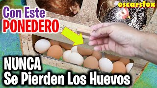 Los Mejores CRIADORES DE GALLINAS TIENEN ESTE NIDO  nidales para gallinas que protegen los huevos [upl. by Tiat17]