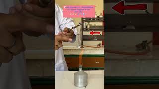 Practical Guru Monu Sharma water of crystallisation in Copper sulphate Class X [upl. by Swetlana]