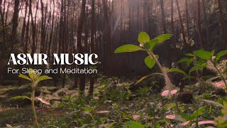 ASMR Forest Sound  Meditation Music  4k [upl. by Ayek]