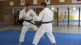 KARATE  Shotokan fighting  Tiger Karate Demo [upl. by Edan]