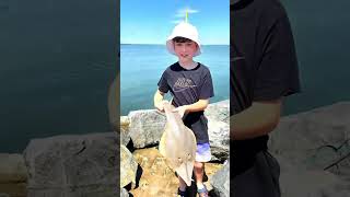 fishing caloundra fypシ゚viral beach Victorapoint [upl. by Gnouhk]