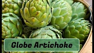 Globe Artichoke Leaf Extract Lowers Cholesterol amp Protects Your Liver Disease Fighting amp AntiAging [upl. by Corinne]