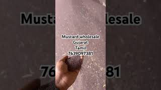 Mustard business tamil Gujarat unjha spices wholesale business agriculture farming groundnutoil [upl. by Yarod]