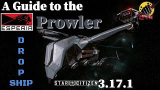 A Guide to the Esperia Prowler Dropship 2022  3171 [upl. by Witty]