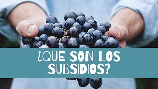 ¿QUÉ son los SUBSIDIOS ▶Tutorial ✅ [upl. by Hola]