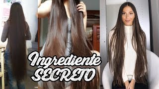 Agrega ESTO a tu SHAMPOO Y HAZ CRECER TU CABELLO SIN PARAR y ELIMINA EL FRIZZ AL INSTANTE [upl. by Eseenaj]