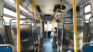 Pace 2016 Eldorado National Axess BRT Bus Ride Bus 6564 on Route 230 Northbound to Des Plaines Metra [upl. by Anyer]