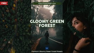 Gloomy Green Forest FREE Lightroom Presets DNG XMP  Gloomy Green Forest Lightroom Presets Download [upl. by Letsyrc]