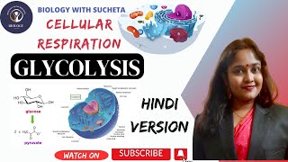 Glycolysis pathway made simple l EMP Pathway l Cellular Respiration in hindi l [upl. by Llenrahs]