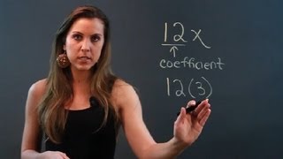 What Is the Coefficient of a Monomial  Math Tips [upl. by Consuela]