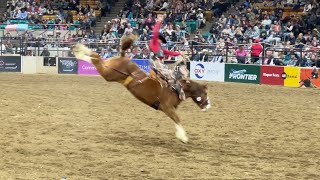 National Western Stock Show Denver Colorado [upl. by Arreis]