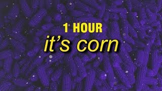 its corn kid tiktok song extended lyrics 1 HOUR [upl. by Jeana]