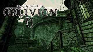 The Elder Scrolls IV Oblivion  Crucible The Shivering Isles Ambience No Music [upl. by Gladi544]