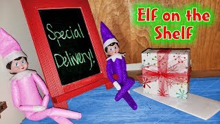 Elf on the Shelf Brings Secret Mystery Gift NO BUDDY Who Sent It [upl. by Annhoj543]