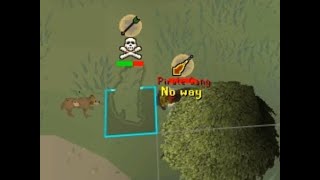 PERMANENT DEADMAN  W345  PKing Highlights [upl. by Hannahsohs18]