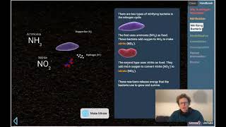 Lab 4 13 Nitrogen Cycles Case Pt 1 of 2 [upl. by Herbst801]