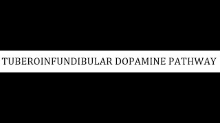 STAHLS  CH 4  PART 13  TUBEROINFUNDIBULAR DOPAMINE PATHWAY psychiatrypharmacology [upl. by Gerik]