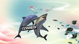 Dolphin And Shark Mating [upl. by Goda]