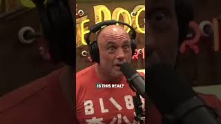 Rogan LOSES IT Over Trump Shooter [upl. by Caffrey]