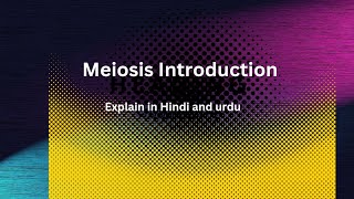 Meiosis Introduction Class 9th Chapter 05 Explain in Hindi and urdu [upl. by Duquette]