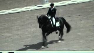 Alexander RathampTotilas Freestyle Grand Prix Aachen 2011 [upl. by Philipson]