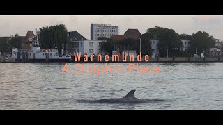 Warnemünde  A Dolphin Place [upl. by Watt]