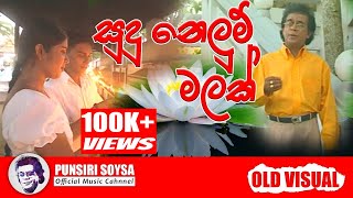 සුදු නෙලුම් මලක්  Sudu nelum malak  Punsiri Soysa Old Visual [upl. by Domeniga]