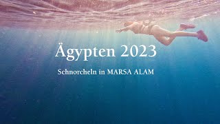 Ägypten 2023  Schnorcheln in Marsa Alam [upl. by Chandless]