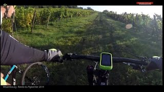 Wissembourg  Rando VTT du Pigeonnier 2014 [upl. by Nail151]