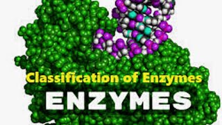 CLASSIFICATION OF ENZYMES  METALLOENZYMES  COENZYMES  COFACTOR [upl. by Esmeralda808]