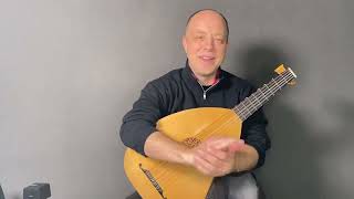 The Fundamentals of Lute Playing Episode 43 Ring Finger Planting [upl. by Conway971]