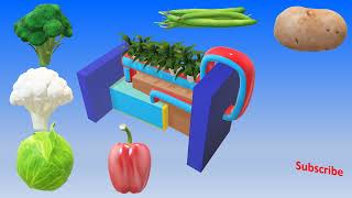 Hydroponic technology Updated You can install such interesting technology at home [upl. by Yma932]