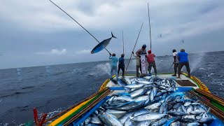 WOW🤩  We Caught Tons Of Tuna Fishes Within 10 Mins 😳 You Never Seen This Video Before [upl. by Pasho]