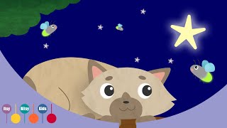 Star Light Star Bright Nursery Rhyme  ItsyBitsyKids [upl. by Loos385]