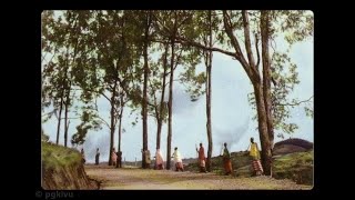 Visite du Roi Baudouin au Ruanda  Urundi en 1955 [upl. by Alcott461]