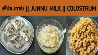 healthysweets how COLOSTRUM MILK RECEPIES சீம்பால்கடம்பூ Sweets JUNNU milk delecioussweets [upl. by Aitsirhc797]