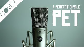 A Perfect Circle  Pet Cover [upl. by Toile76]