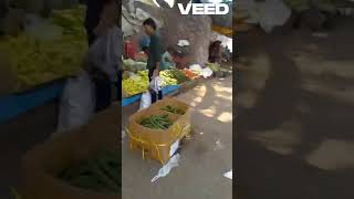 Janta market sanpada Navi Mumbai जनता मार्केट सानपाड़ा नवी मुंबई [upl. by Adnahsed621]