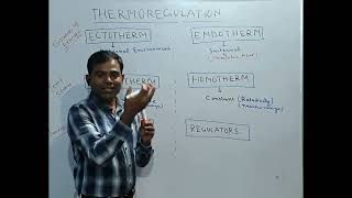 Thermoregulation Class 1 Ecto amp Endotherms Poikilotherm Conformers Regulators thermoregulation [upl. by Marilin]