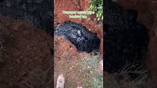 Pipe the black oil welding automobile oil pipe diy shorts funny fyp [upl. by Obidiah]