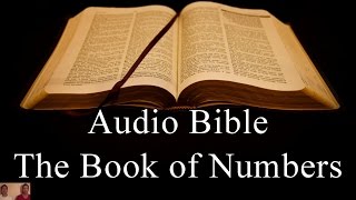 The Book of Numbers  NIV Audio Holy Bible  High Quality and Best Speed  Book 4 [upl. by Eenhpad]